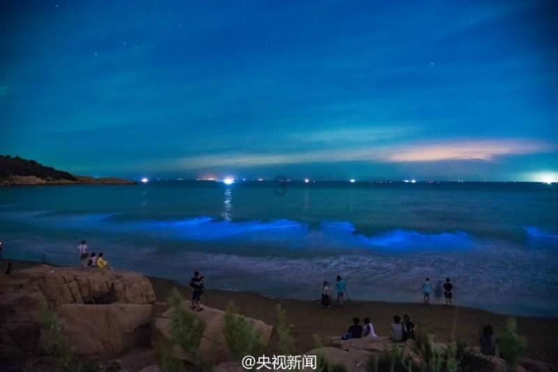 泛亚电竞网站
